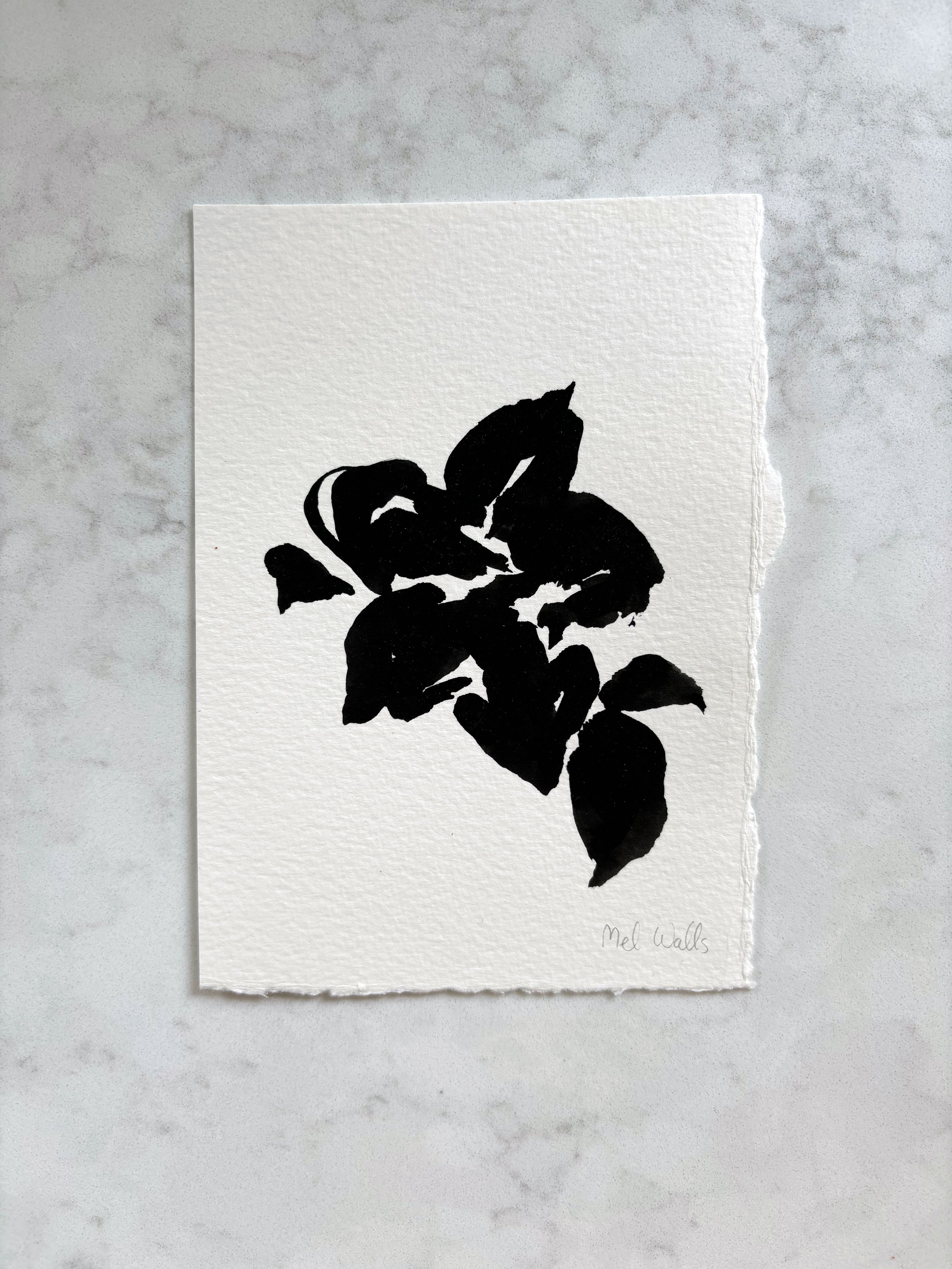 “Gardenia Silhouette” Art Print