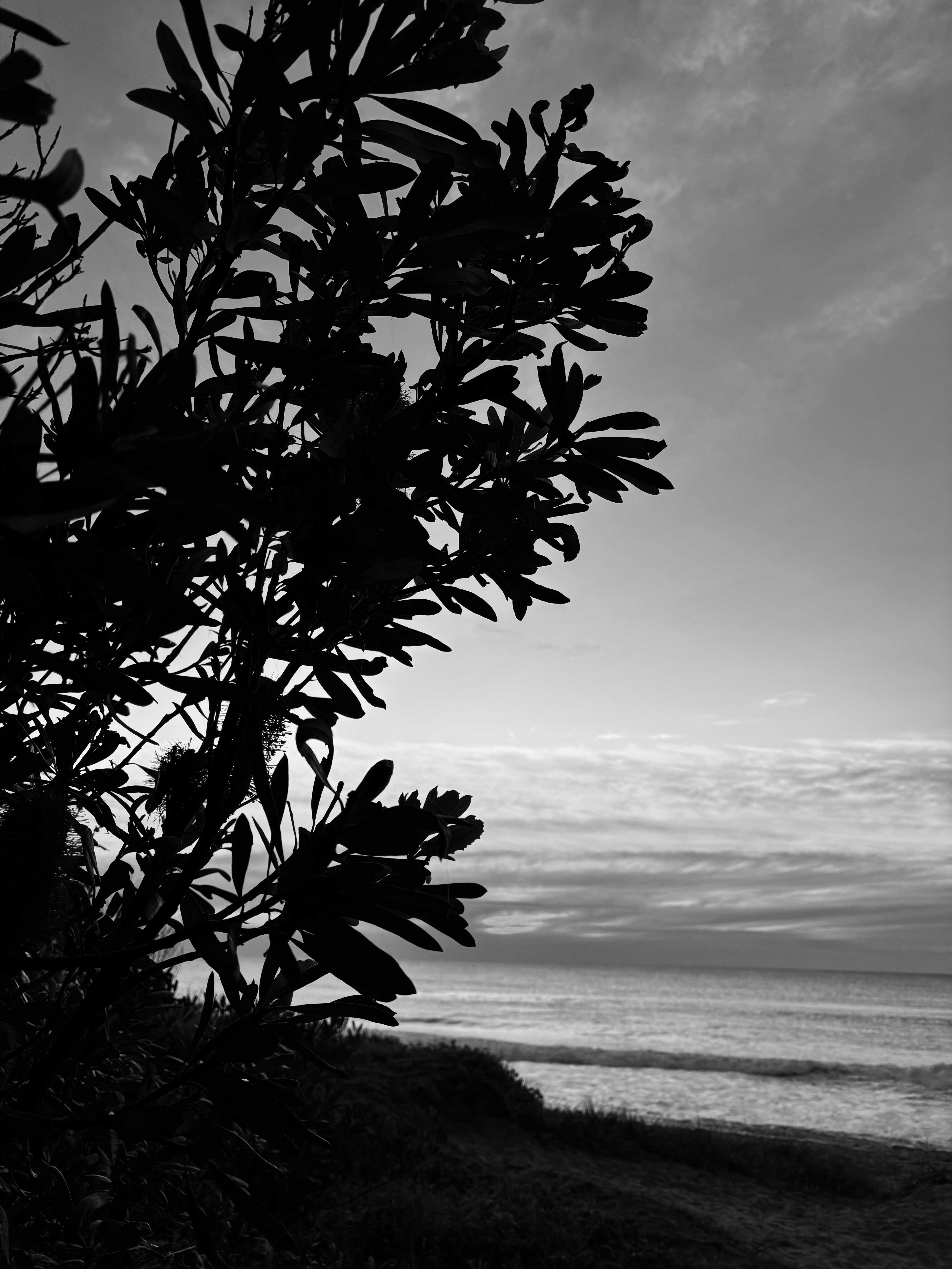 "Evening Silhouette" Werri Beach Gerringong Australia