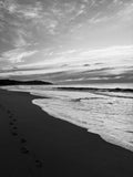 "Morning Ritual" Werri Beach Gerringong Australia