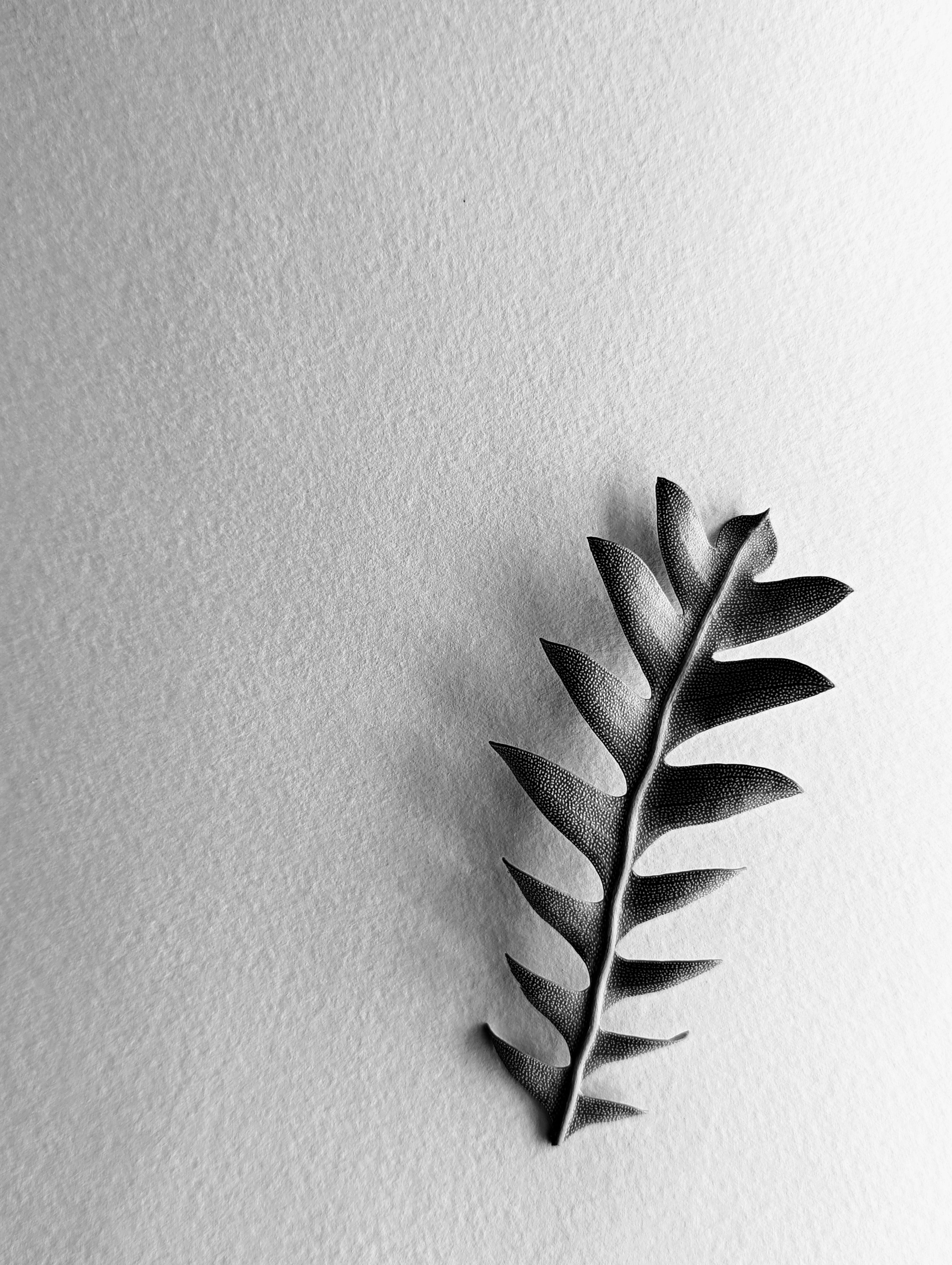 "Nature's Pattern"